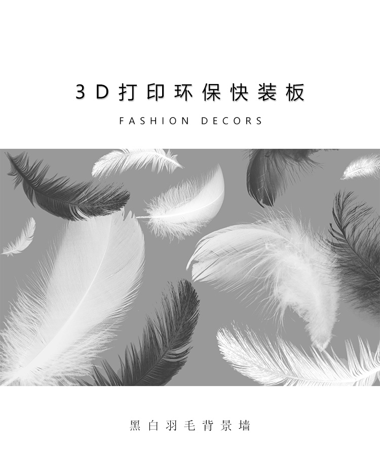 黑白羽毛_02.jpg